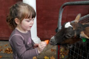 Child and goat